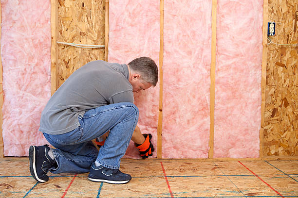 Best Cellulose Insulation in Spring Hope, NC