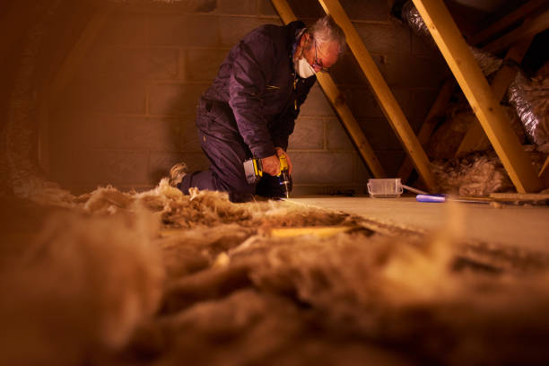 Best Insulation Maintenance and Repair in Spring Hope, NC