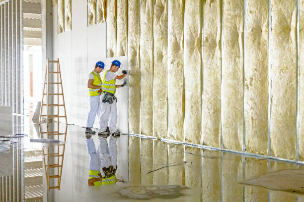 Best Residential Insulation in Spring Hope, NC